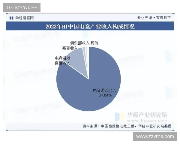 深入分析PA电子竞技的发展历程与未来趋势，助力电竞产业全面升级
