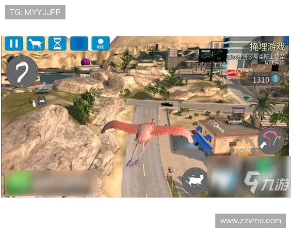 玩转AG视讯主页：分享各类游戏的玩法与技巧